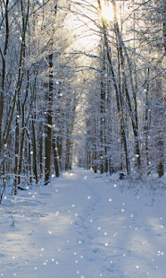 Winter Wallpaper(圖3)-速報App