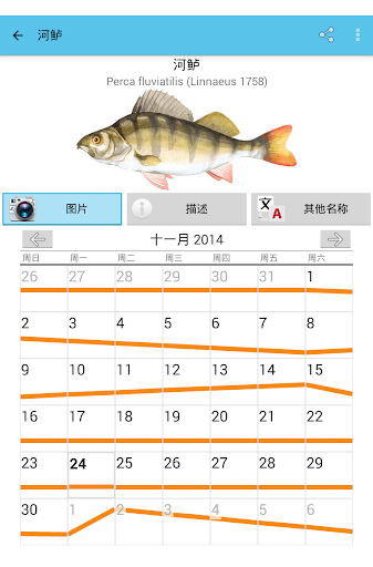 鱼日历