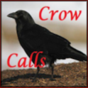 Crow Calls logo