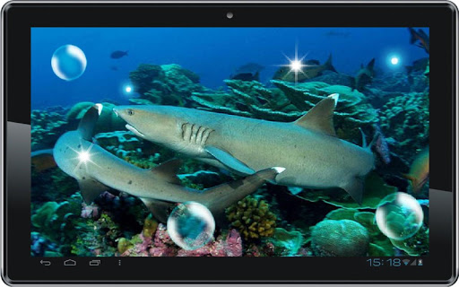 【免費個人化App】Great Sharks live wallpaper-APP點子