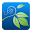 Ivy Share Download on Windows