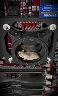 Gerbil live walpaper Screenshots 4