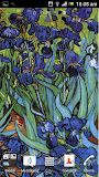 Touch of Van Gogh