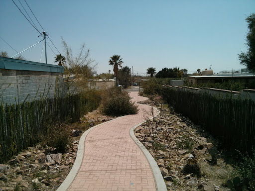 Mansfield Park Southern Ocotillo Walkway