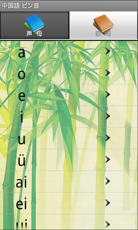 Chinese Pinyin Screen 3