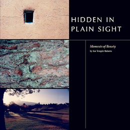 Hidden in Plain Sight cover