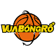 Vua Bong Ro - Basketball APK