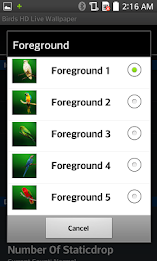 Birds HD Live Wallpaper by AppTrends poster 5