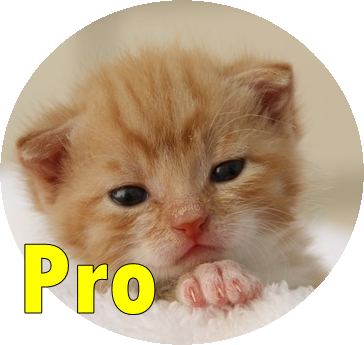 Android application Call Cat screenshort
