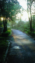 Test LVL API 7 poster 2