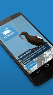 Free Download iKnow Birds 2 LITE - Europe APK for Android