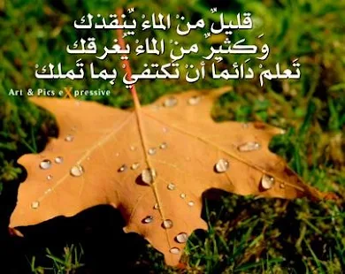 51Vsl8BCmXcjiDPmSde7a7G3QJbTNCYqGawxf8JFh1FFkbvWwbxCOxAdnLoDvMgFLqI=h310-rw