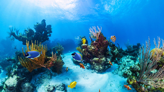 Trial Aquarium 360 LWP(圖4)-速報App