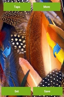 Download Feathers Wallpapers APK for PC