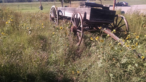 Pioneer Wagon 1
