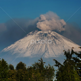 Smoking volcano and trees by Cristobal Garciaferro Rubio - Landscapes Mountains & Hills