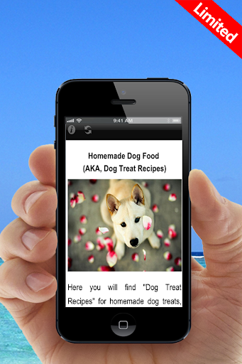 Homemade Dog Food Recipes