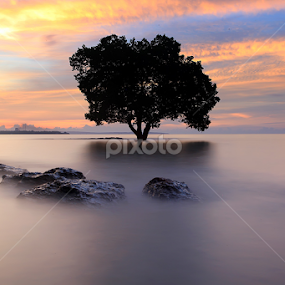 out box by Double'u Photoworks - Landscapes Sunsets & Sunrises