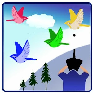 Shoot The Birds 1.1
