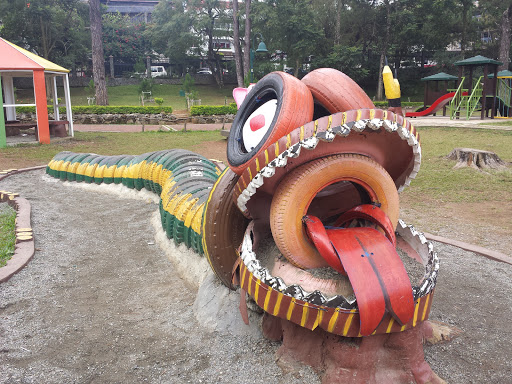 Snake Made of Tires