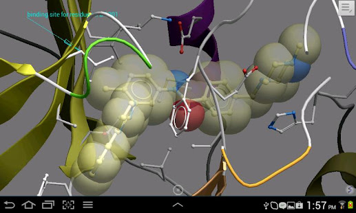 iMolview Lite(圖2)-速報App