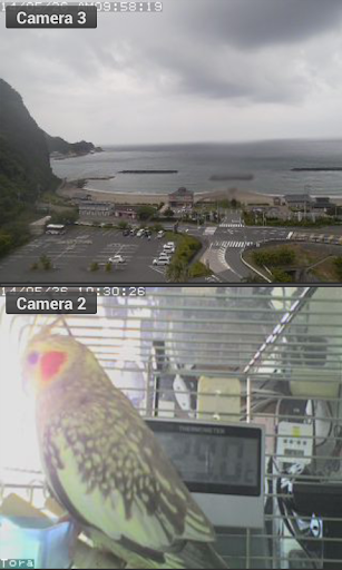 Viewer for LUPUS IP cameras