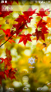 How to install red leaf down wallpaper lastet apk for pc