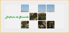 Granada tourist guide APK