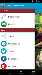Amazing Parrots Wallpapers(圖7)-速報App