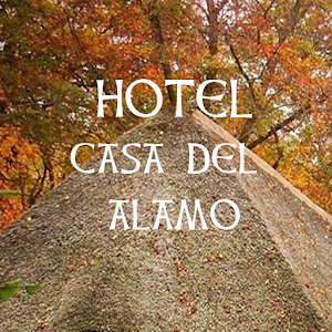 Hotel El Álamo 1.0