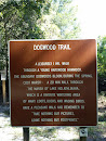 Dogwood Trail
