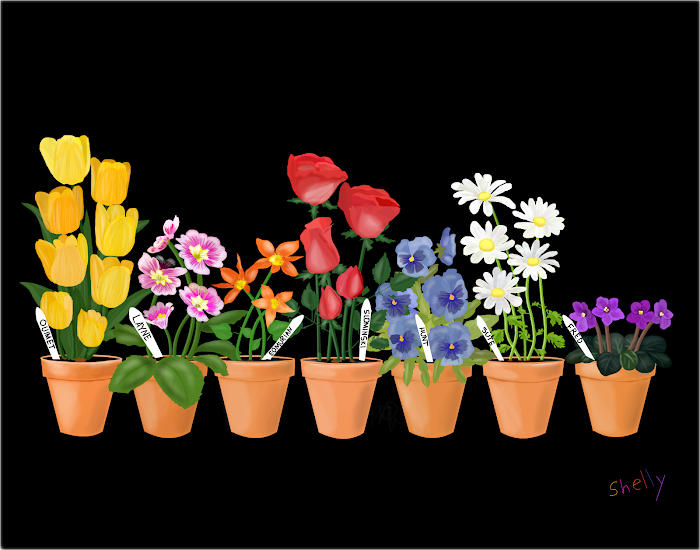 Mother's Day Flowers
