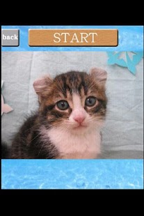 How to get puzzle Cat game patch 1.0.2.2 apk for android