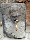 Renewed Fountain in Pompei