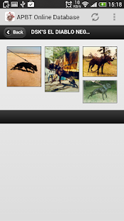 APBT Online Database Screenshots 6