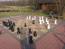 Giant Chessboard