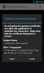 McAfee VPN Client Screen 3