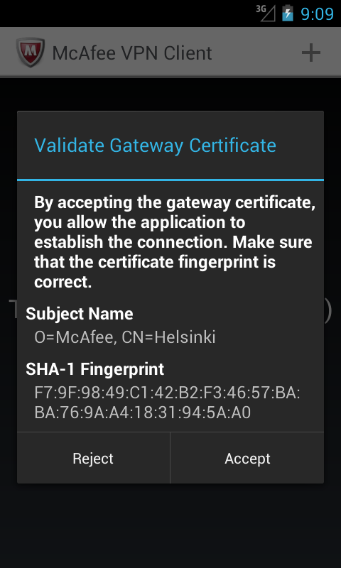 McAfee VPN Client Screen 3