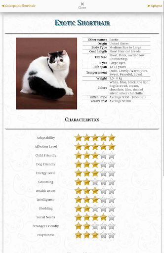 免費下載解謎APP|CATS Match 'N Learn app開箱文|APP開箱王