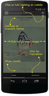 iButterflies(圖8)-速報App