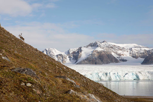 Svalbard-mountain-scenery - A cruise on Hurtigruten's Fram will take you to see some spectacular scenery and thrilling wildlife in Norway's Svalbard islands.