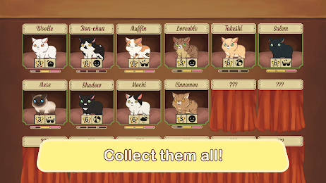 Furistas Cat Cafe 4