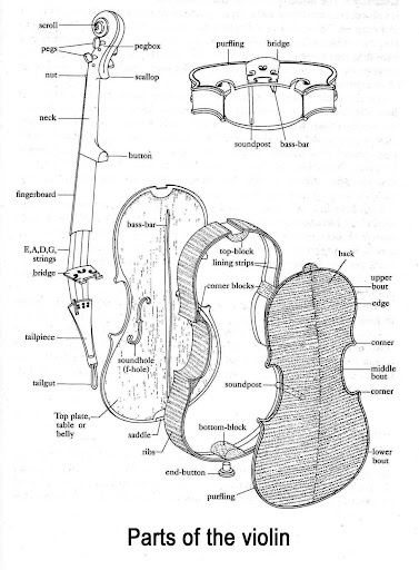 【免費音樂App】Learn Violin Basic-APP點子