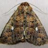 Mobile Groundling Moth