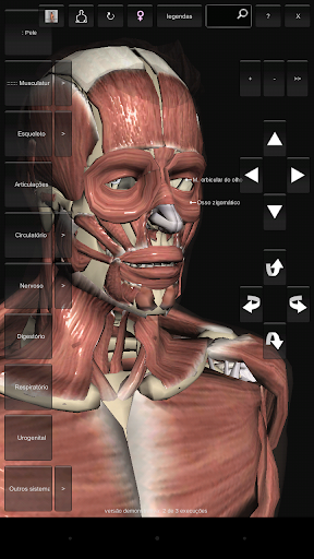 Demo Introd. à Anatomia Humana