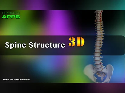 Spine Structure
