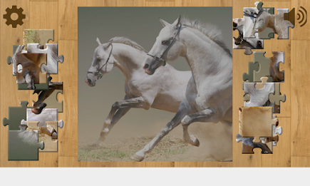 Horses Puzzles poster 5