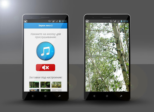 免費下載娛樂APP|Звуки леса 2 app開箱文|APP開箱王