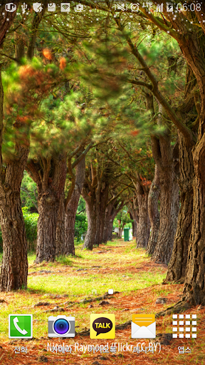 road for lovers livewallpaper