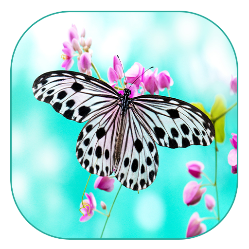 Butterfly Live Wallpaper 個人化 App LOGO-APP開箱王